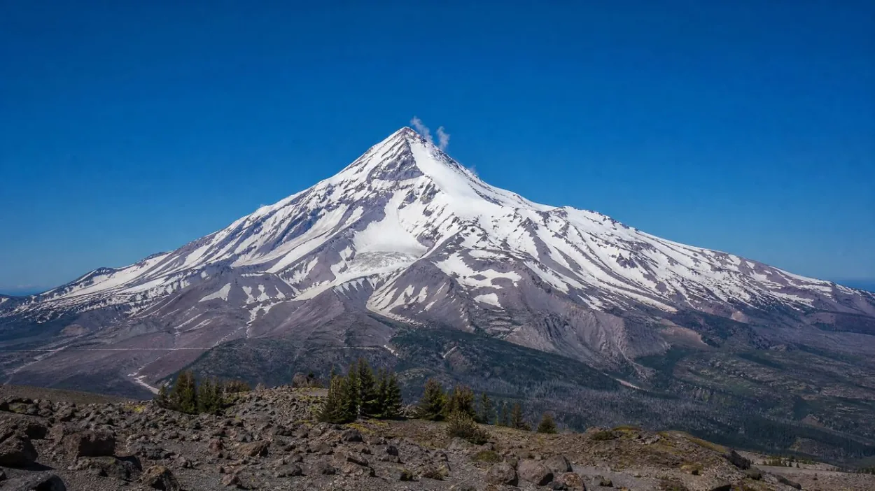The snow-covered upper slopes of Mount Hood under a clear blue sky