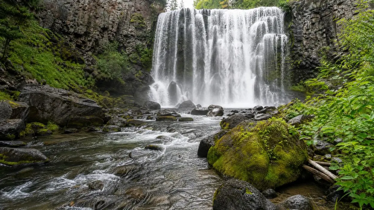 Tamanawas Falls pouring over a wide rock ledge into a forest creek